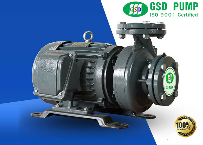 Máy bơm GSD